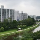 동천동 구수교 이미지