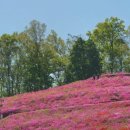 철쭉공원 화장실(동산) 이미지