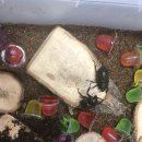 정주농장 이미지