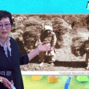 제주의꿈 이미지