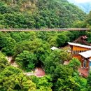 종합문화복지타운 대공연장 | "입장료가 0원?" 가성비 끝판왕 금산산림문화타운, 가족 여행지로 딱!