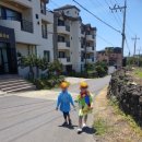 재릉초등학교 병설유치원 이미지