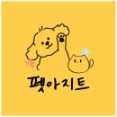펫 아지트 이미지