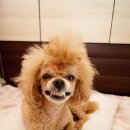 볼수록 이미지