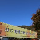 정직한멜로디공연 | 즐거웠던 캠핑타운 가을 정기캠핑 위오 캠핑스쿨 축제 in 러브팜 캠핑장