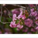 운서초등학교 이미지