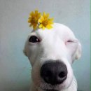 은빛초등학교 이미지