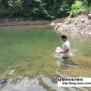 남양펜션 이미지