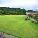 청산별곡 이미지