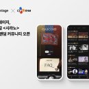 팬덤