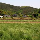 의령 수성리 지석묘군 이미지