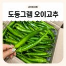 도동김밥 | 도동그램 오이고추 산지직송 후기, 아삭한 오이고추 된장무침