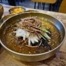 세종시 아름동맛집 도담본가 세종시육개장 막국수 시원하다잉