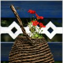 뜰이야기 이미지