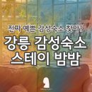 예쁜집펜션 | 강릉 정동진 감성숙소 스테이밤밤 l 정원 예쁜 독채펜션 솔직후기