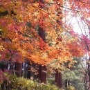 환상의 추억 이미지