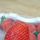 준기농장 이미지