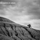 마커스(MARKERS) 이미지