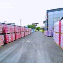 (주)거대마루 이미지