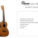 우쿨렐레(중,고급) 이미지
