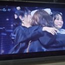 하모니 동물병원 | 2025.01.25 QWER 온라인 팬콘서트 후기.
