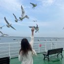 박주기 | 신시모도 스쿠터 당일치기 여행 🛵