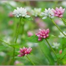 기동반-22 이미지