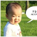 이브 이미지