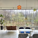 구릉산자락길 | 분위기 진짜 예쁜 떡케이크 맛집!? 애견동반 가능한 구리 카페 '주이' 내돈내산 후기