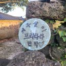 제주민박프리타타 이미지
