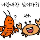 카도이 이미지