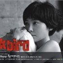 블랙버드(Black Bird)