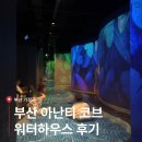 부산 아난티 코브 수영장 총정리 │ 요금, 운영시간, 워터하우스 후기까지!
