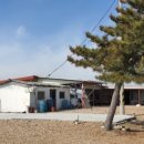 유리네 민박 이미지