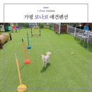 가평모나코애견펜션 이미지