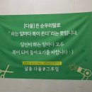 다올 그루밍 이미지