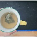 울진봄날애햇살 이미지