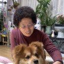 금학로136번길 이미지