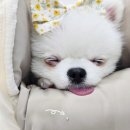 모드니세탁 이미지