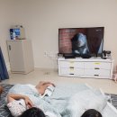 언양 알프스행정사 사무소 | [밀양아이랑]주말 성수기 8만원 신축, 가성비 밀양 도래재자연휴양림 가족대리입실, 숲하늘길 네트어드벤처