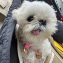 새봄약품 이미지