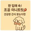 우리 아이 입맛까지 생각한 건강한 간식, 조공 미니트릿 솔직 후기 🐾