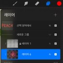 레이어박스