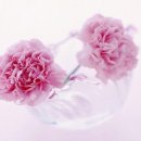 소미갈비찜 이미지