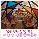내장산 단풍생태공원 | 정읍 내장산 단풍생태공원 겨울을 온몸으로 느끼는 힐링 산책 명소