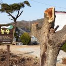 유유농산