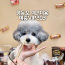 메종VIP203 이미지