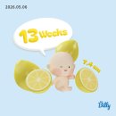 옷빠는오빠 | [임신 13-14주] 중기로 가는 임산부의 일상*13주 초음파*손가락 빠는 모습 포착♡̆̈