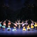 대구경북발레페스티벌 이미지