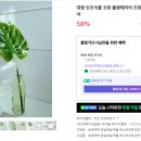 플로리아제이